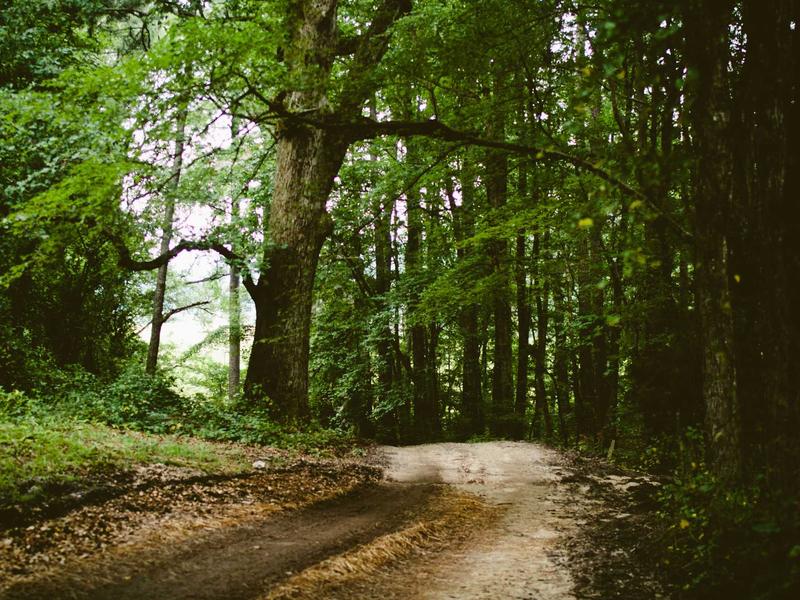 sudoku mental exercise screenshot 6